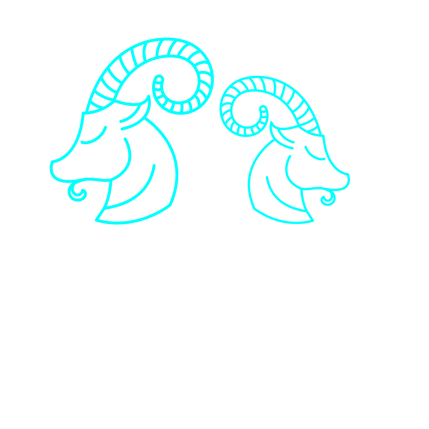 Two Goats Limited